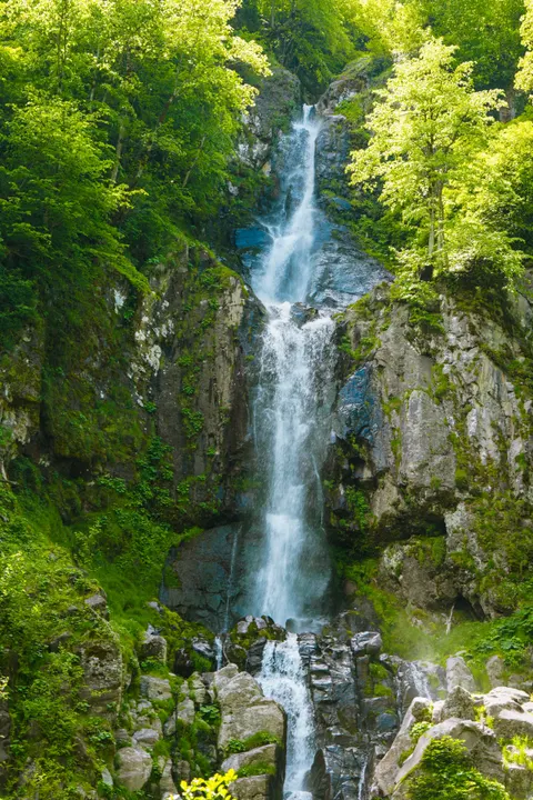 Tall Waterfall Phone Wallpaper · vertical · 1440×2160