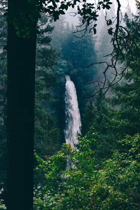 Tall Waterfall Phone Wallpaper · vertical · 1440×2160