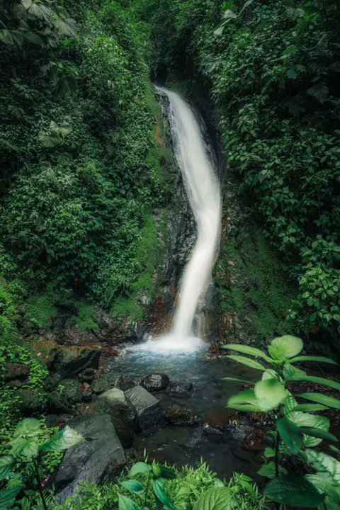 Tall Waterfall Phone Wallpaper · vertical · 1440×2160