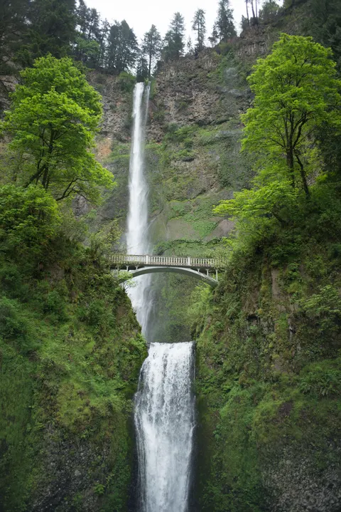 Tall Waterfall Phone Wallpaper · vertical · 1440×2157