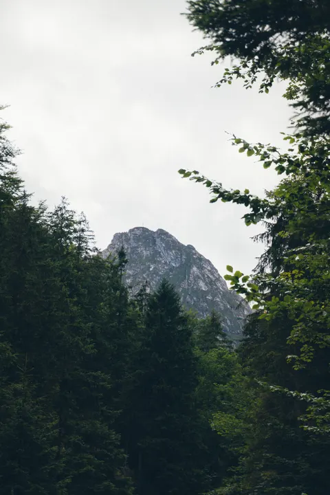 Mountain Peak Phone Wallpaper · vertical · 1440×2160