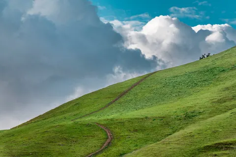 Wallpaper Bukit Hijau 4K · nature · 3840×2561