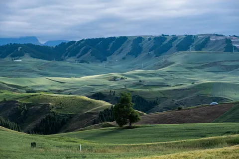 خلفية تلال خضراء بدقة 4K · nature · 3840×2560