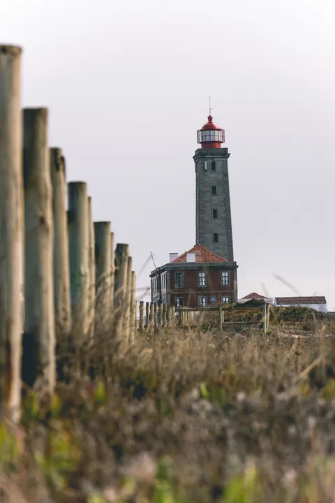 Lighthouse Phone Wallpaper · vertical · 1440×2160