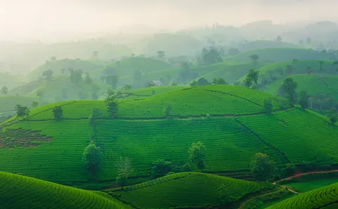 Wallpaper Bukit Hijau 4K · nature · 3840×2378