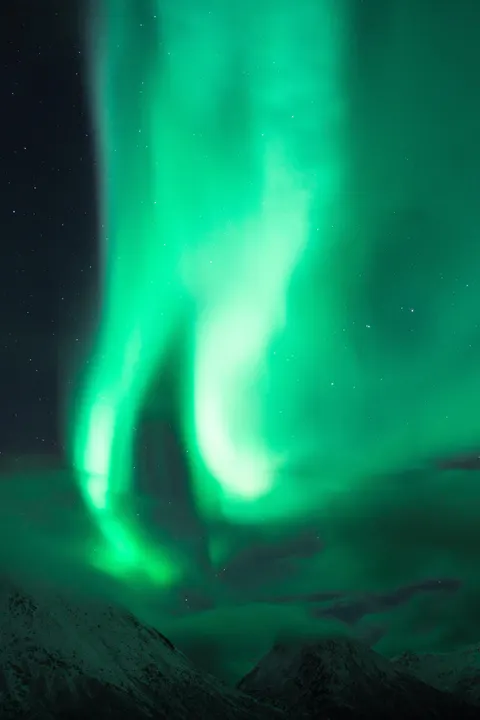 Aurora Phone Wallpaper · vertical · 1440×2160