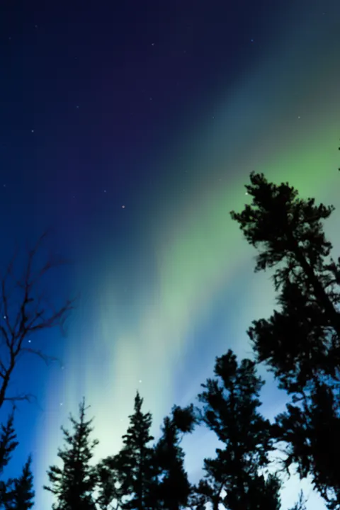 Aurora Phone Wallpaper · vertical · 1440×2160
