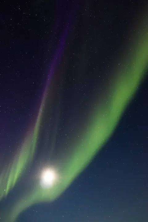 Aurora Phone Wallpaper · vertical · 1440×2160