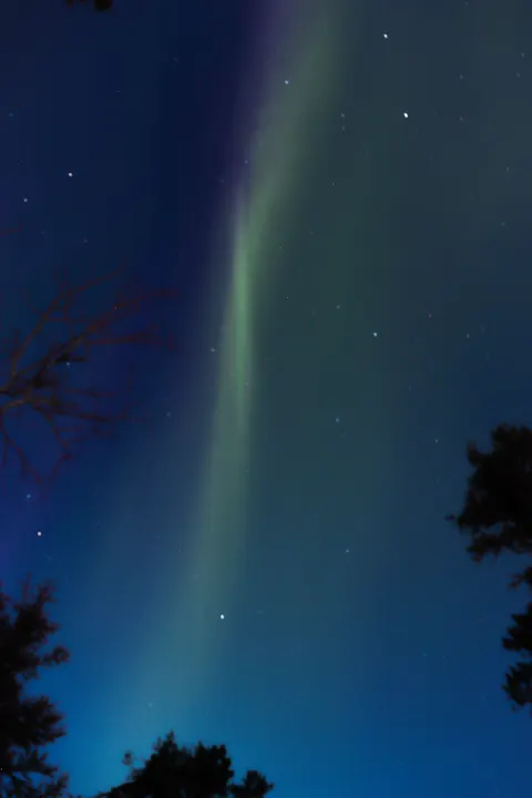 Aurora Phone Wallpaper · vertical · 1440×2160