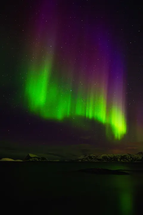 Aurora Phone Wallpaper · vertical · 1440×2160