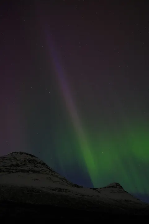 Aurora Phone Wallpaper · vertical · 1440×2160