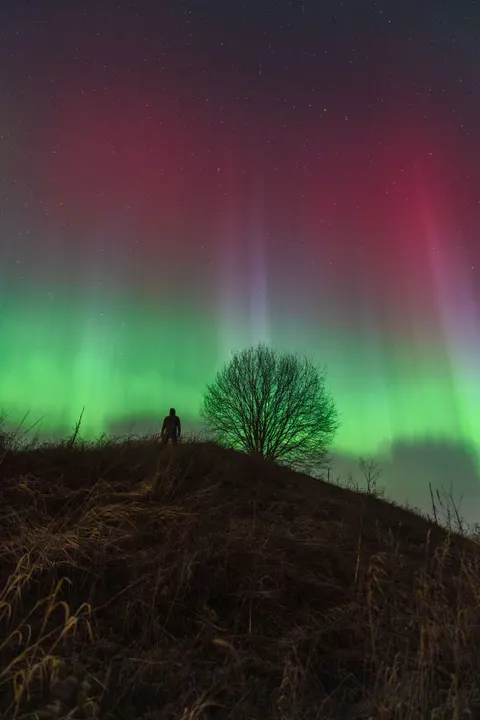 Aurora Phone Wallpaper · vertical · 1440×2160