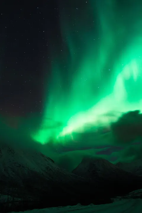 Aurora Phone Wallpaper · vertical · 1440×2160