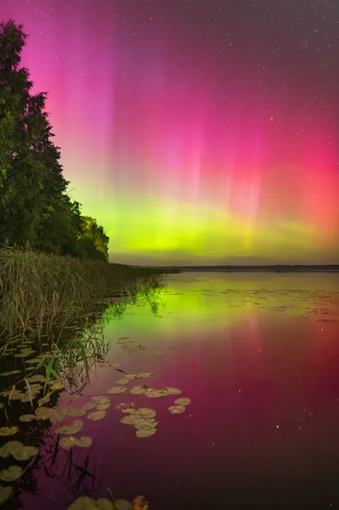 Aurora Phone Wallpaper · vertical · 1440×2164