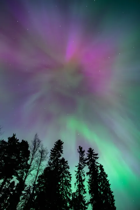 Aurora Phone Wallpaper · vertical · 1440×2157