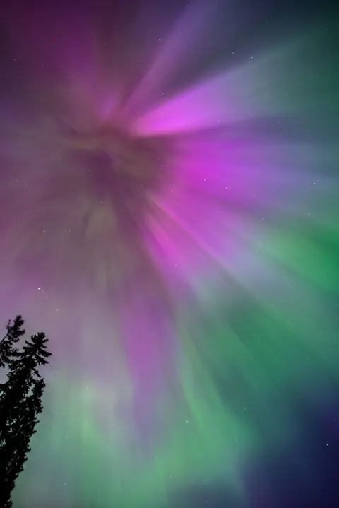 Aurora Phone Wallpaper · vertical · 1440×2157