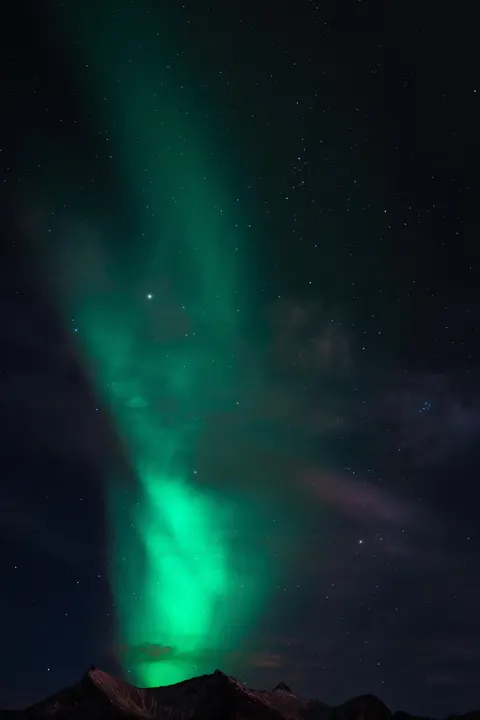 Aurora Phone Wallpaper · vertical · 1440×2160