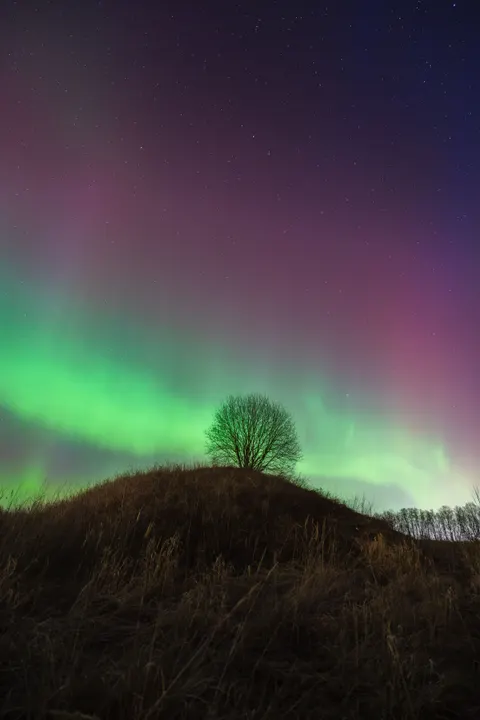 Aurora Phone Wallpaper · vertical · 1440×2160