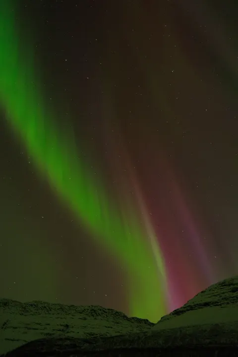 Aurora Phone Wallpaper · vertical · 1440×2160