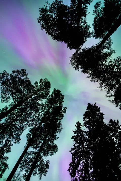 Aurora Phone Wallpaper · vertical · 1440×2157