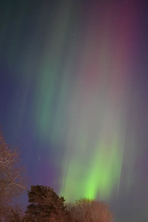 Aurora Phone Wallpaper · vertical · 1440×2164