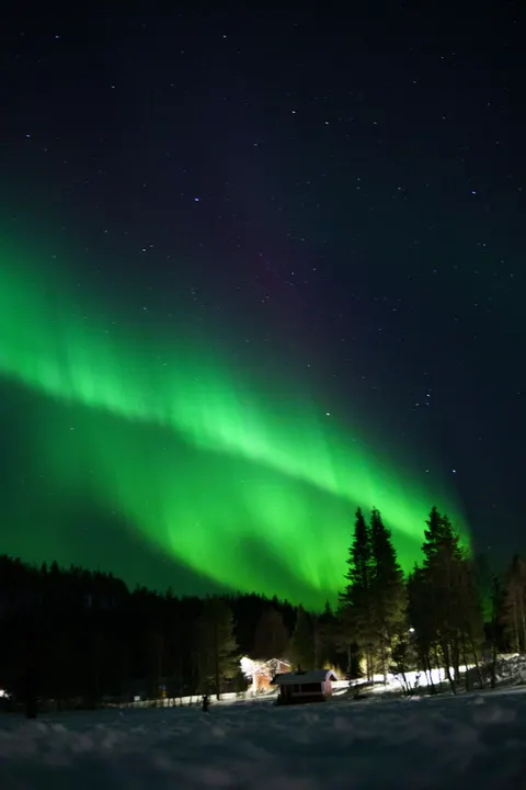 Aurora Phone Wallpaper · vertical · 1440×2160