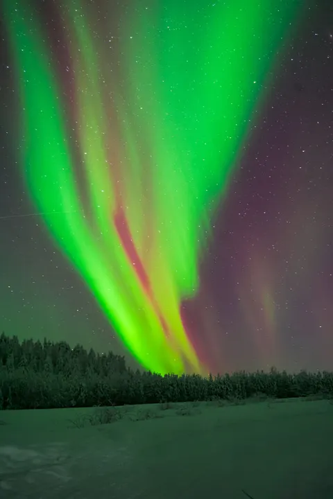 Aurora Phone Wallpaper · vertical · 1440×2160