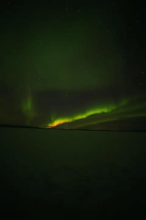 Aurora Phone Wallpaper · vertical · 1440×2160