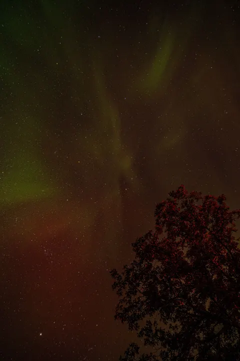 Aurora Phone Wallpaper · vertical · 1440×2160