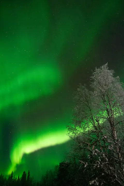 Aurora Phone Wallpaper · vertical · 1440×2160
