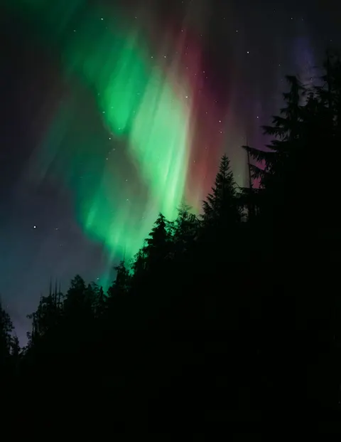 Aurora Phone Wallpaper · vertical · 1440×1863