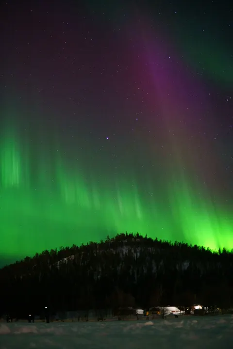 Aurora Phone Wallpaper · vertical · 1440×2160
