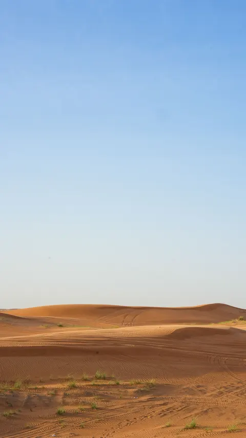 Desert Dunes Phone Wallpaper · vertical · 1440×2559