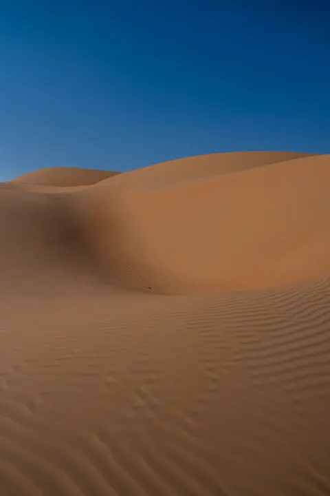 Desert Dunes Phone Wallpaper · vertical · 1440×2160