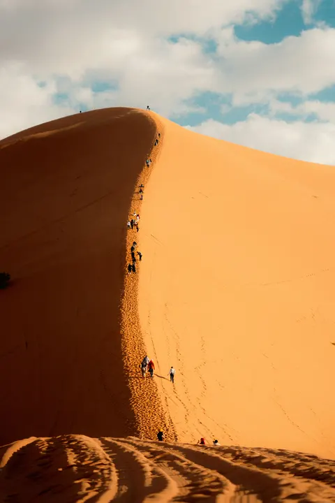 Desert Dunes Phone Wallpaper · vertical · 1440×2160