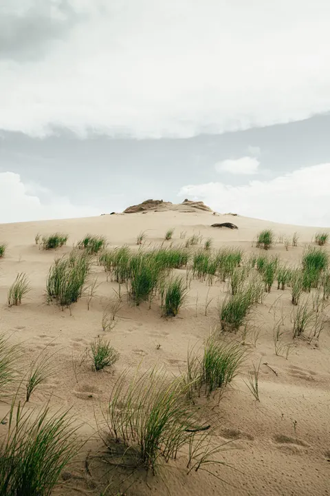 Desert Dunes Phone Wallpaper · vertical · 1440×2160