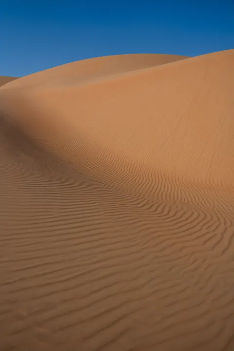 Desert Dunes Phone Wallpaper · vertical · 1440×2160