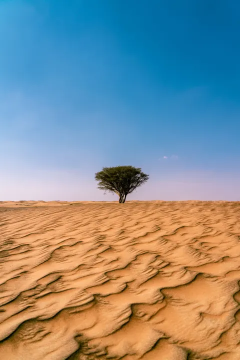 كثبان الصحراء خلفية للجوال · vertical · 1440×2160