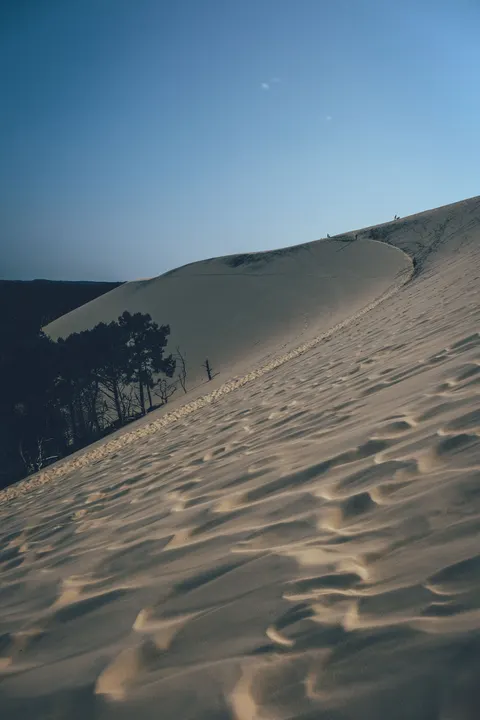 Desert Dunes Phone Wallpaper · vertical · 1440×2160