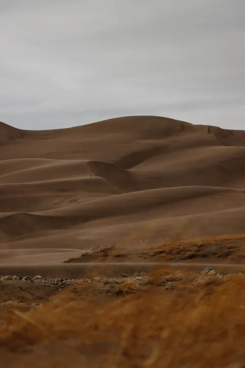 Desert Dunes Phone Wallpaper · vertical · 1440×2160