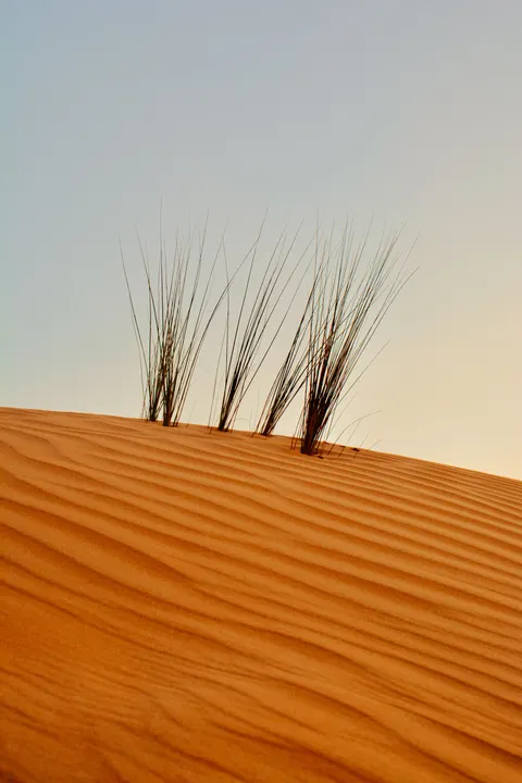 Desert Dunes Phone Wallpaper · vertical · 1440×2160