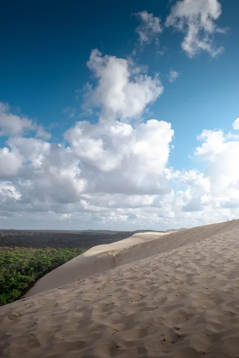 Desert Dunes Phone Wallpaper · vertical · 1440×2160