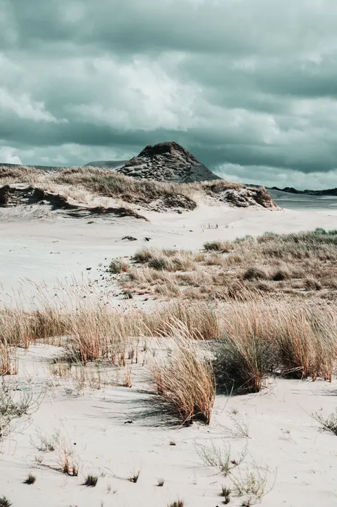 Desert Dunes Phone Wallpaper · vertical · 1440×2164