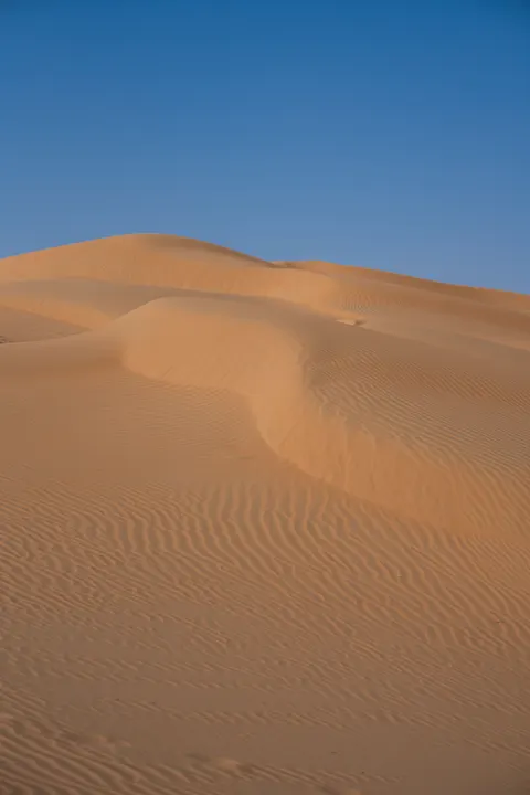Desert Dunes Phone Wallpaper · vertical · 1440×2160