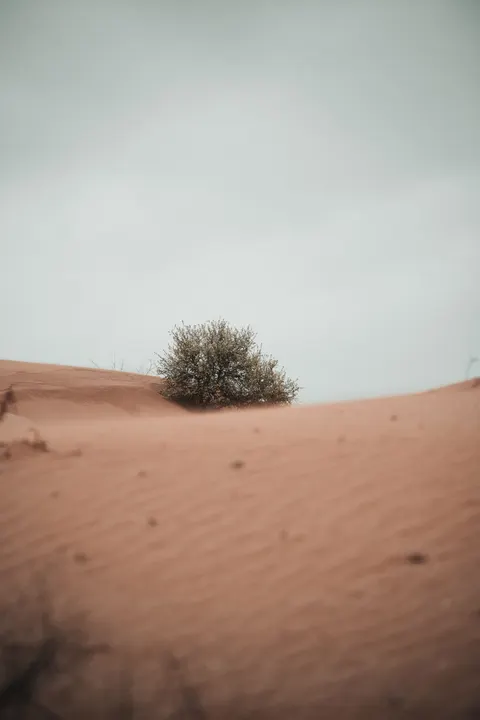 Desert Dunes Phone Wallpaper · vertical · 1440×2160