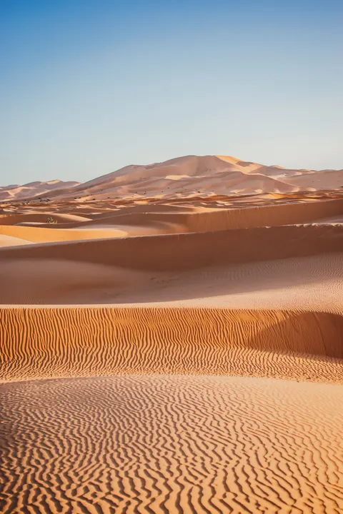 Desert Dunes Phone Wallpaper · vertical · 1440×2160