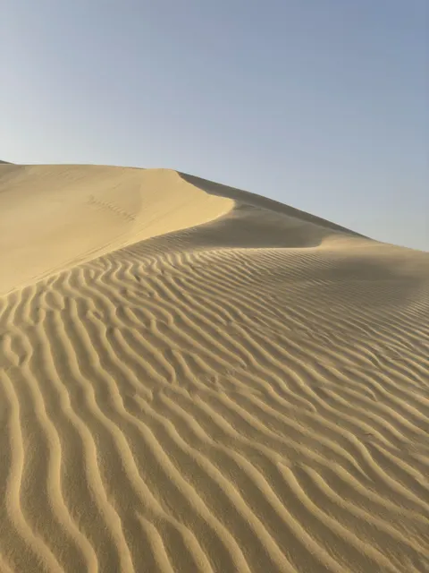 Desert Dunes Phone Wallpaper · vertical · 1440×1920