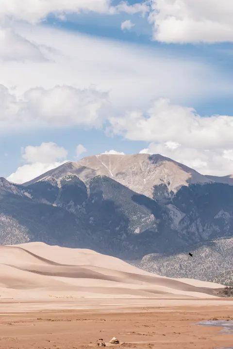 Desert Dunes Phone Wallpaper · vertical · 1440×2160