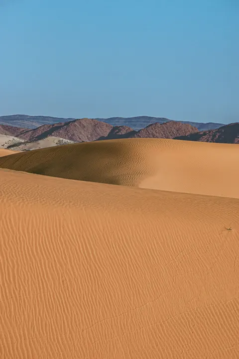 Desert Dunes Phone Wallpaper · vertical · 1440×2160