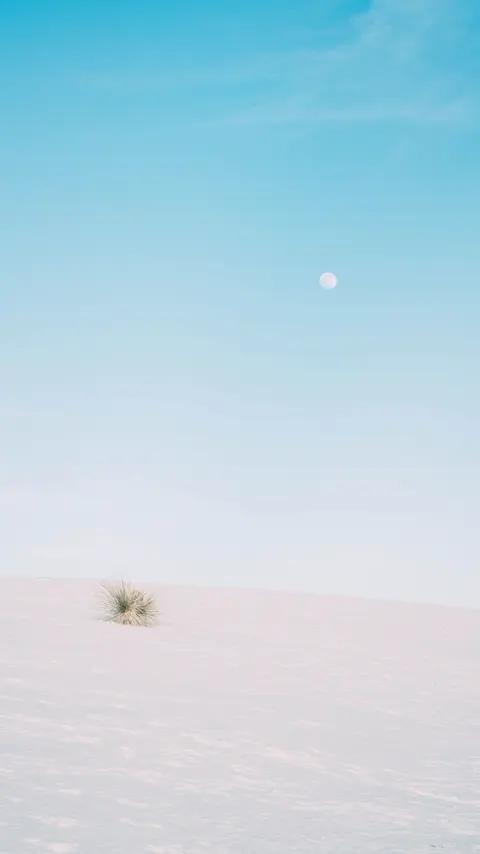 Desert Dunes Phone Wallpaper · vertical · 1440×2561